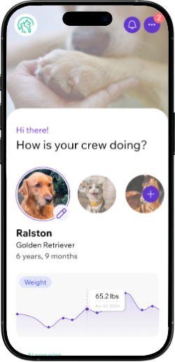 health_hub_mobile.png