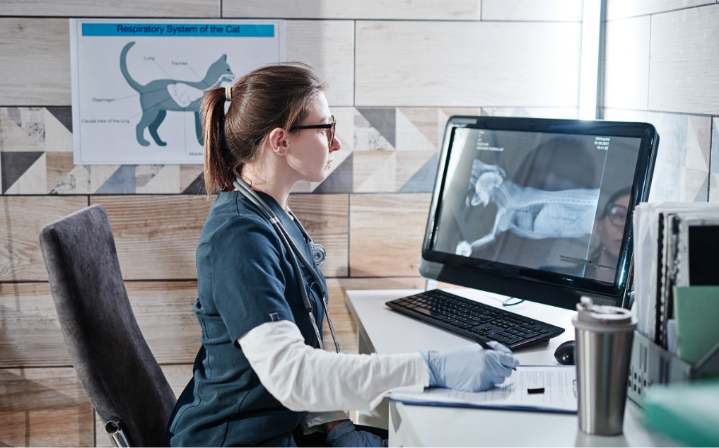 ChatGPT Prompts for Pets: Veterinary Intelligence AI Alternatives