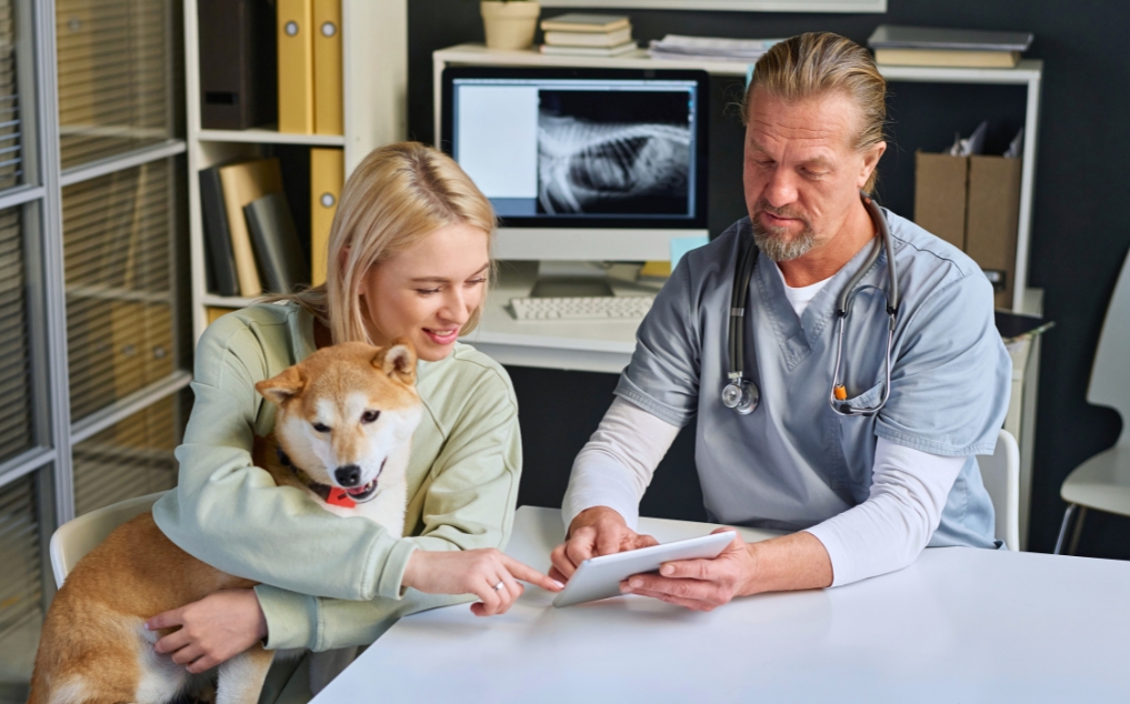 Domain-Specific AI for Pets: Why Veterinary Intelligence Can’t Be General-Purpose