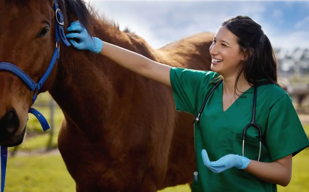 Equine AI Agents: The New Standard in Performance Monitoring