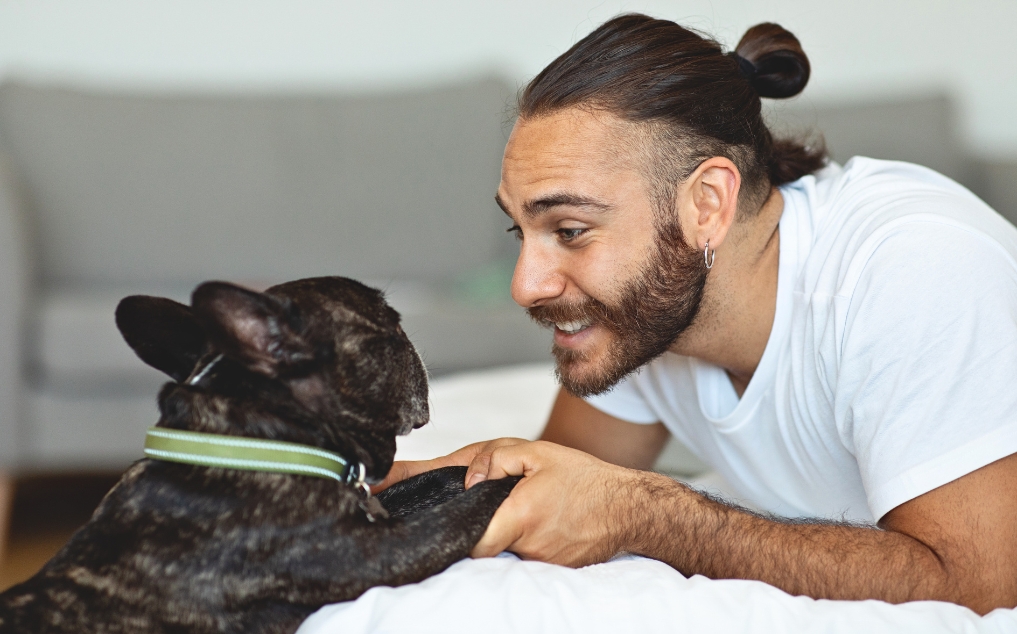 Dog Heart Murmur: AI-Assisted Grading, Life Expectancy & Monitoring Protocols