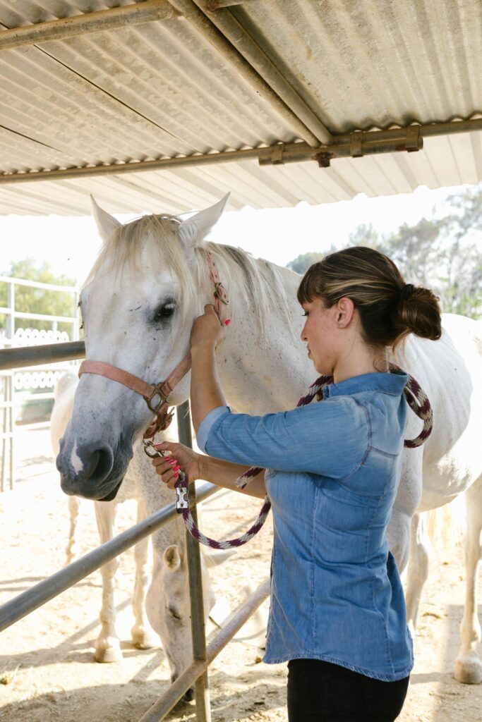 Can a Horse Get Rabies? Understanding Rabies in Horses, Clinical Signs, and Prevention
