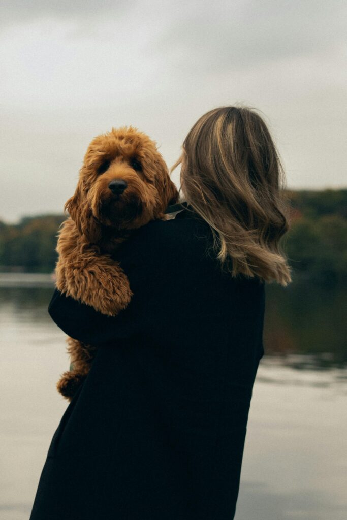 Dog Separation Anxiety: Complete Guide to Understanding and Treating Anxious Dogs