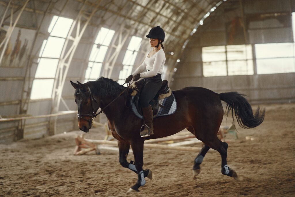 Suspensory Ligament Injury in Horses: Complete Guide to Diagnosis, Treatment & Recovery