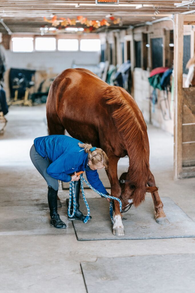 Potomac Fever in Horses: Complete Guide to Prevention, Diagnosis, and Treatment