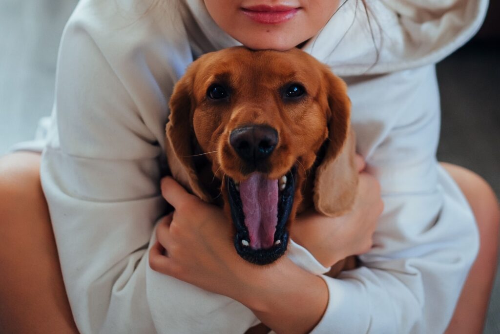 7 Things I Started Tracking When My Dog Turned Seven