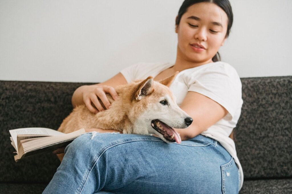 How to Tell If a Dog Has a Fever: Signs, Temperatures & When to Call the Vet